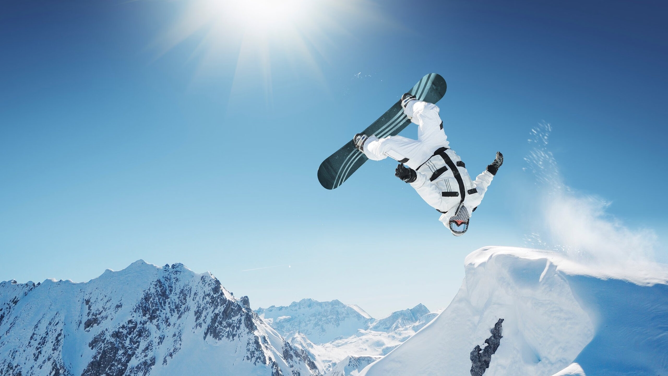 _鹈鹕潜力无限，逐步逼近排行榜前列_，鹈鹕科普